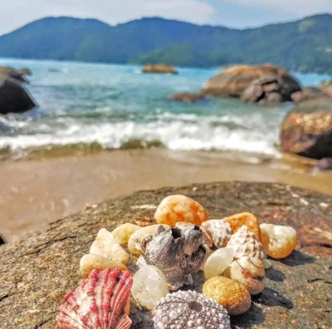 Mar Toninhas * Ubatuba