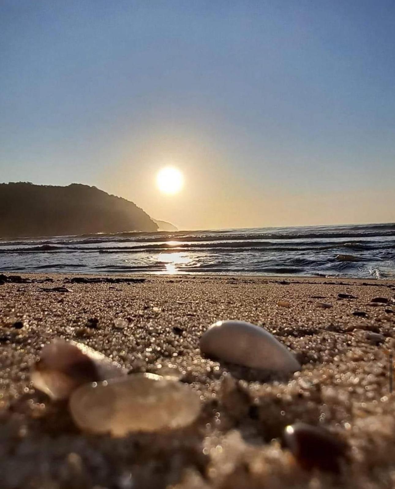 Mar Toninhas